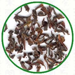 nilgiri