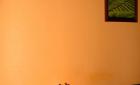 dsc07072